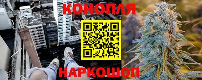 дмт Севастополь
