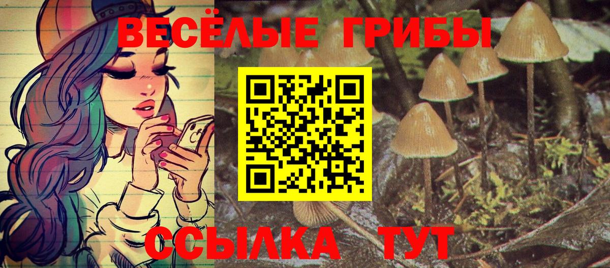 Галлюциногенные грибы мухоморы  Вход с VPN  Петрозаводск 