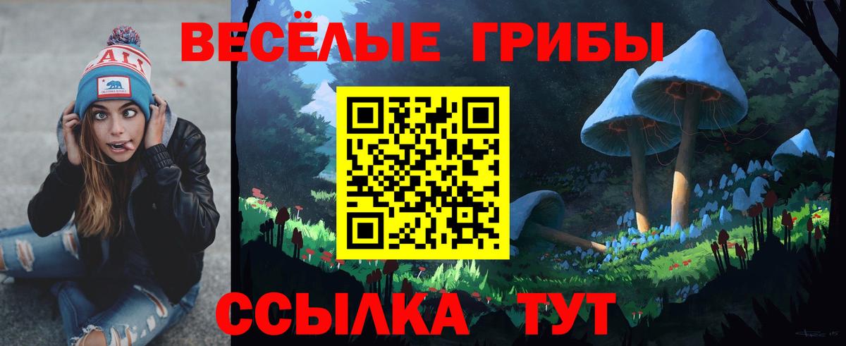 Галлюциногенные грибы прущие грибы Петрозаводск